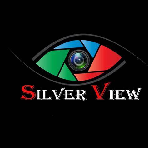 Silver View
